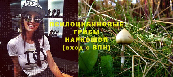 круглые Ельня