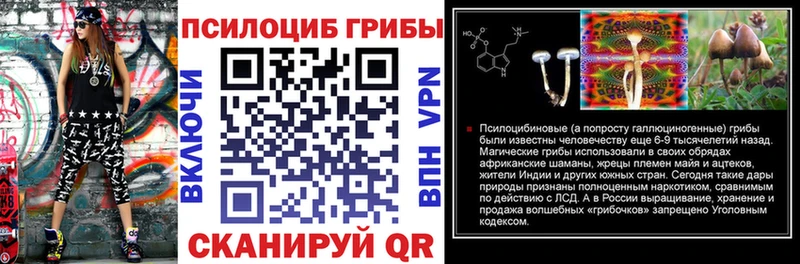 Галлюциногенные грибы Psilocybine cubensis  Купить где  Калач 